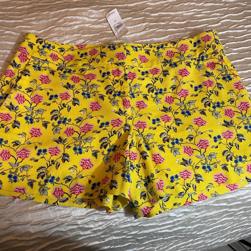NWT Loft Womens Shorts Size 10